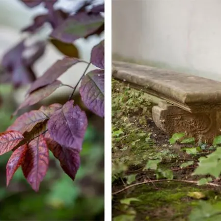 Apartment Jardin Du Luxembourg Paris